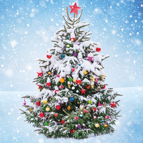 Charity christmas cards - christmas,