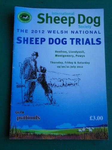 Welsh national sheep - national, dog
