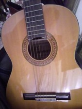 Vintage Mint  Hohner HG-14