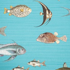 Blue Fish Wallpaper Textured