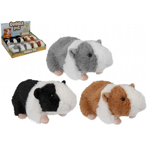 Cute baby guinea - guinea, pig