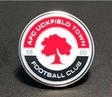AFC Uckfield Town Non-League
