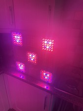 Budmaster 11 Led Grow Light