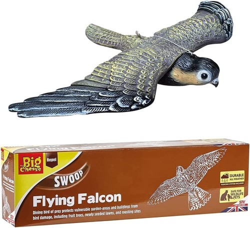 Flying falcon decoy - falcon,