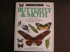 Butterfly & Moth (DK Eyewitness) by Whalley, Paul Ernest Sutton Hardback Book
