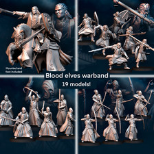 Blood Elves Warband - Davale