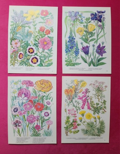 Vintage flower floral - x4,