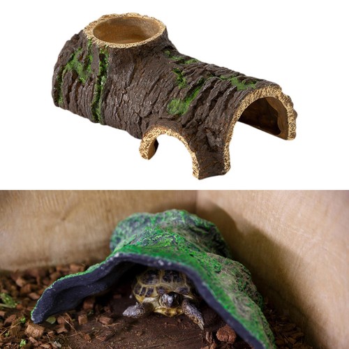 Hermit crab small hideout - hermit,