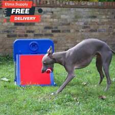 Dog Flyball Training Set Game Agility Co-Ordination Exercise Catching Ball Fun