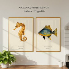 Seahorse and Triggerfish Wall