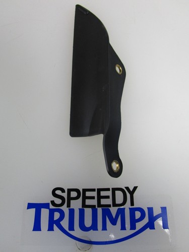 Triumph daytona 675 street - daytona,