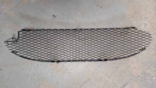 Lotus evora front grille - front,