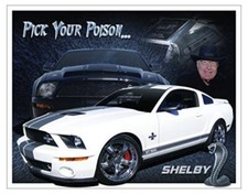 New Shelby Cobra GT 500