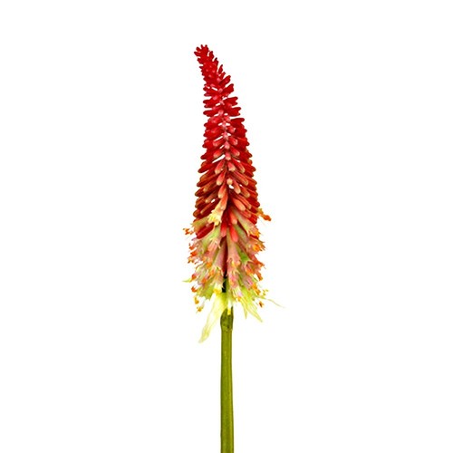 Artificial torch lily red - artificial,