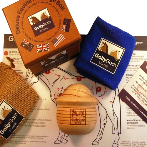 Gollygosh equine deluxe horse - equine,