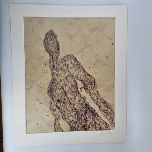 Sally mckay signed - mckay, colour