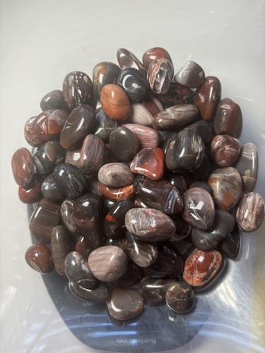 500g fossil wood tumble - fossil,
