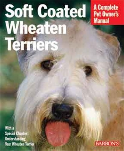 Soft coated wheaten terriers - soft,