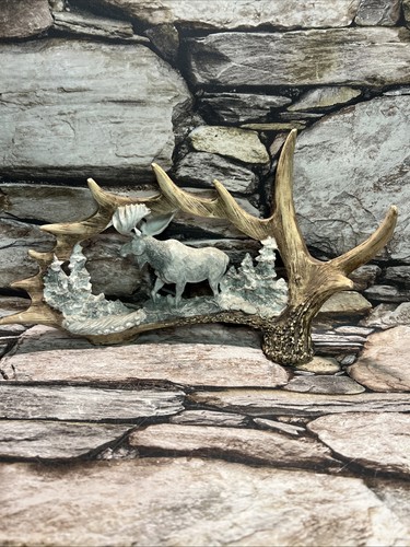 Antler with moose - antler,