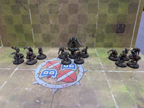 Skaven blood bowl - bowl, fully