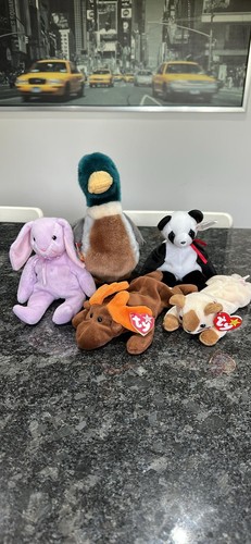Beanie baby collectables - ty,