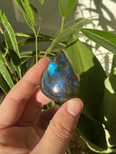 Stunning teardrop large flash - teardrop,