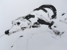 Original signed Ink Drawing Painting sketch of a Whippet Greyhound Lurcher A3