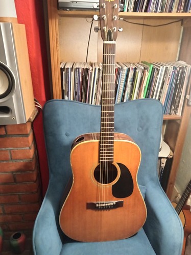 Washburn 250 japanese - 250, acoustic