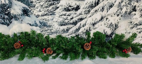 Red berry pine cones - red, &