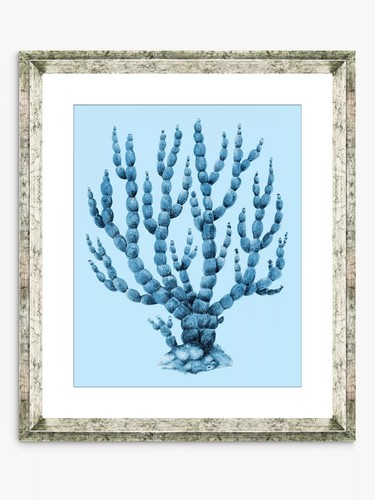 John lewis blue - coral, no.6