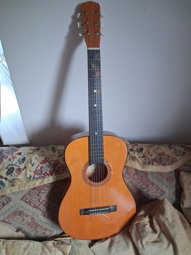Spot classical acoustic - hi,