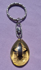 Small Cockroach Beetle in Resin Vintage Key Ring Key Chain #2