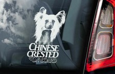 Chinese Crested Dog Car
