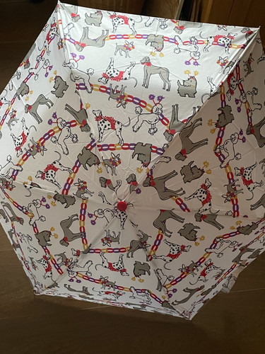 Radley london party - radley, pals'