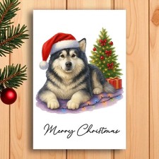 Alaskan Malamute Christmas