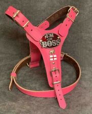 REAL LEATHER BULLDOG