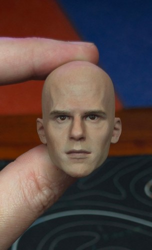 Scale head model - heads, 12"