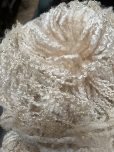 Raw sheep wool - sheep’s, beautiful