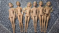 Bundle Of New Style Barbie