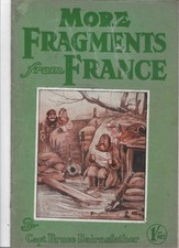 The Bystander`s Fragments From