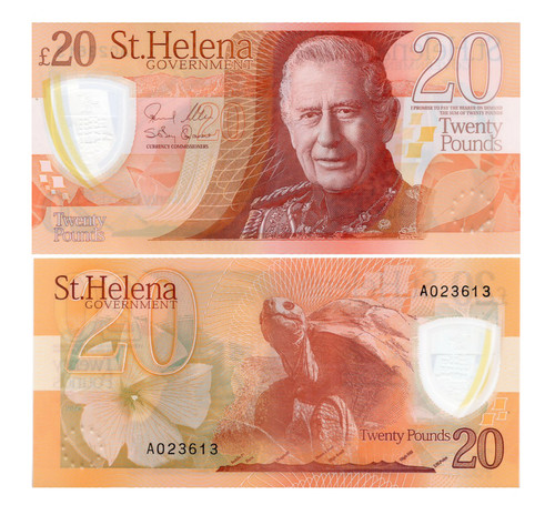 Helena pounds 2026 - st.,