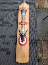Hunts County Spirit Cricket