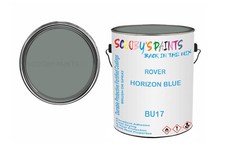 Classic Paint For Austin