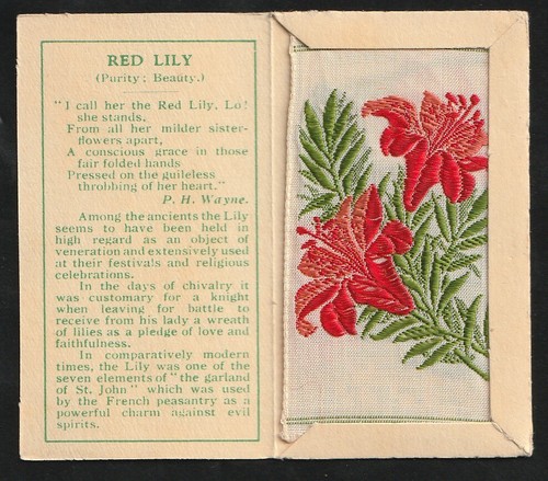Kensitas tobacco silk - tobacco, flowers