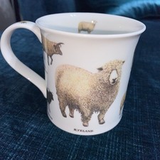 Dunoon Fine Bone China Mug