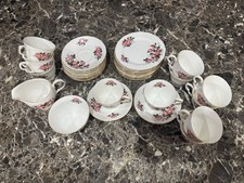 UK Queen Anne Bone China Tea