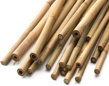 2FT - 6FT  Bamboo Canes Heavy