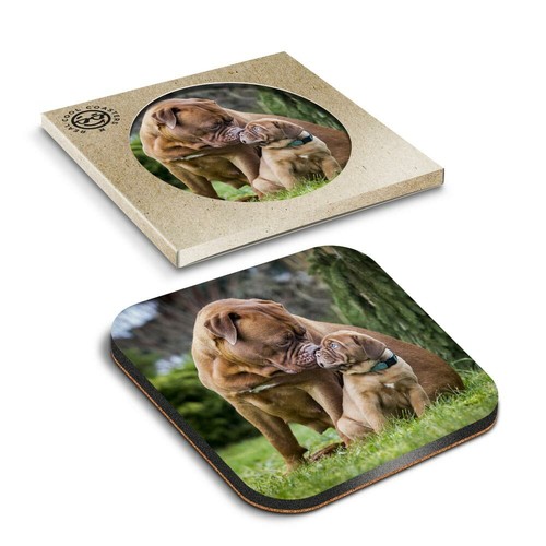 Boxed square coasters - x,