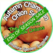 Onion Sets Autumn / Winter