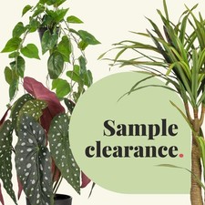 Blooming Artificial - Samples Clearance - Discount Fake House Plants Tree Indoor